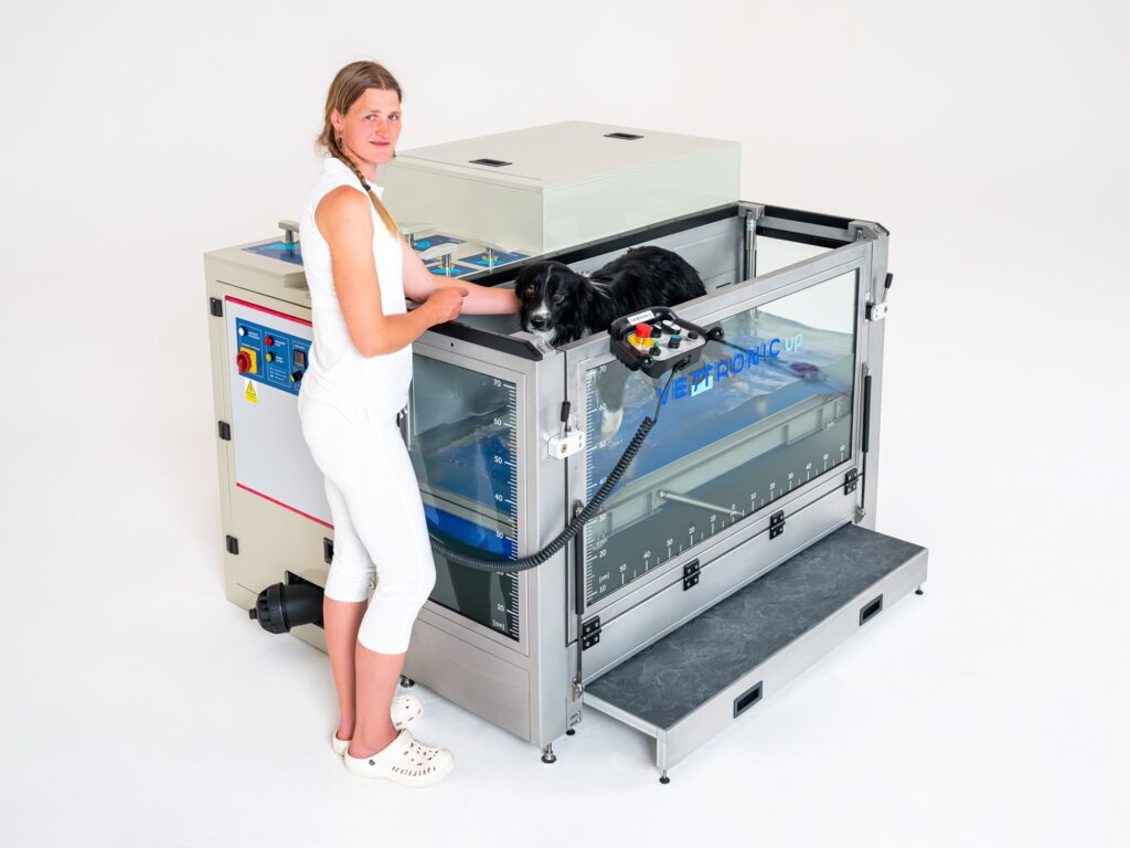 Ablauf der Hydrotherapie für Hunde auf dem Laufband VETTRONIC.