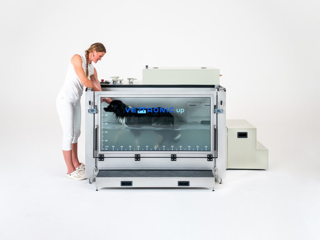 Ablauf der Hydrotherapie für Hunde auf dem Laufband VETTRONIC.