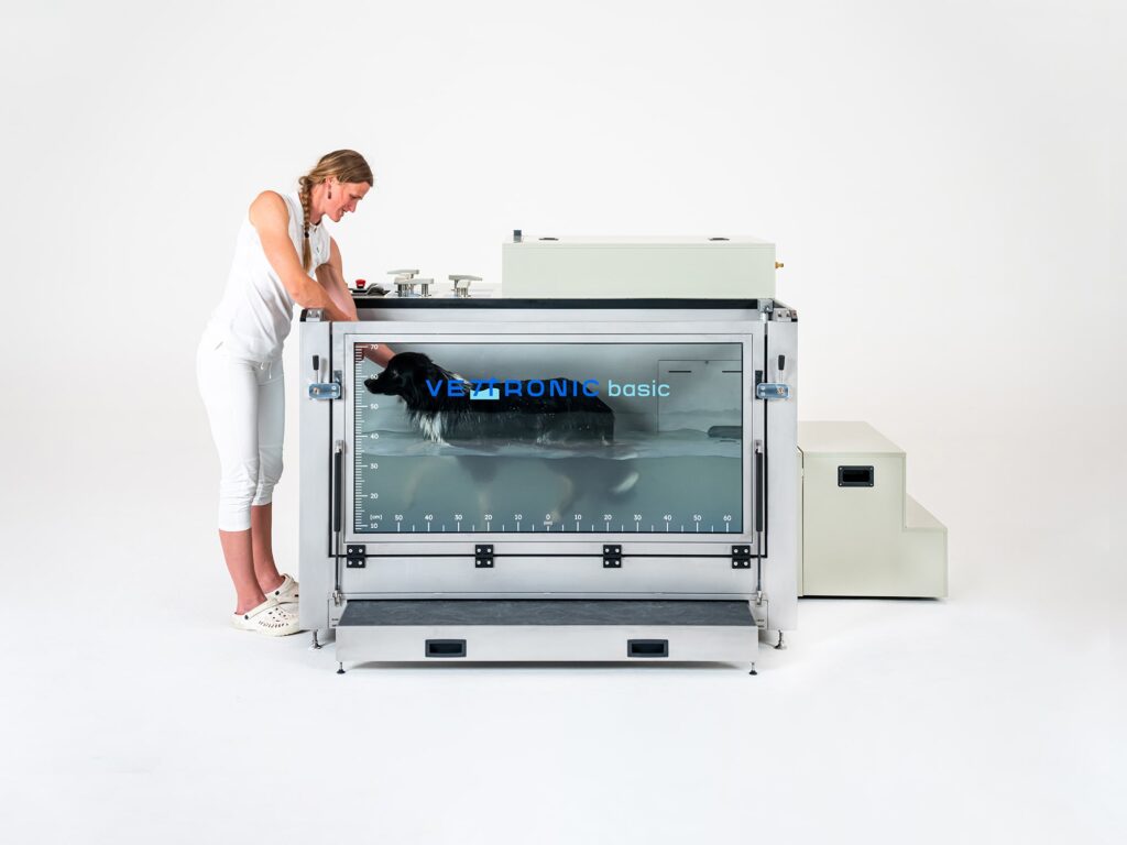 Przebieg hydroterapii dla psów na bieżni VETTRONIC.